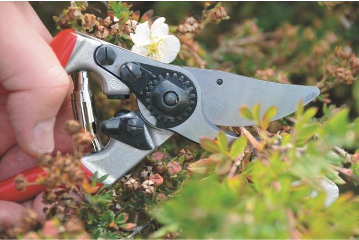 Immagine prodotto Felco 9