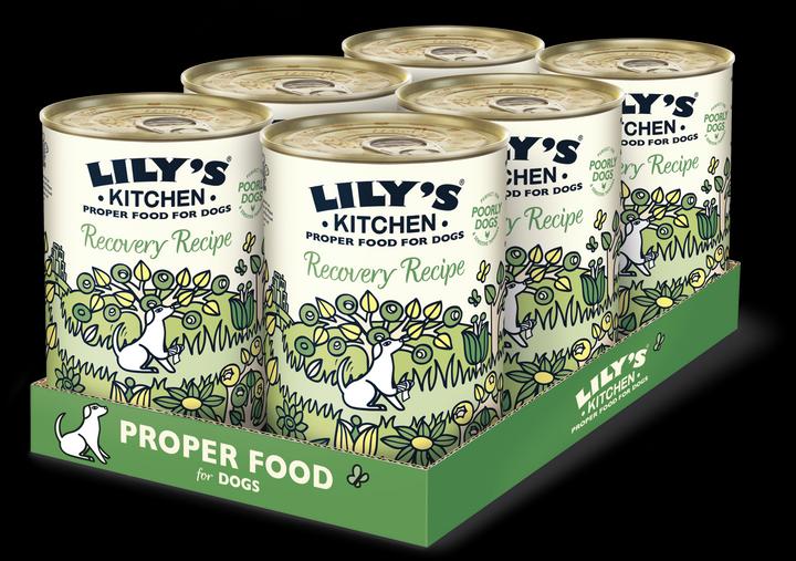 Image du produit Lily's Kitchen Recovery Recipe (Adulte, 1 pcs, 2760 g)