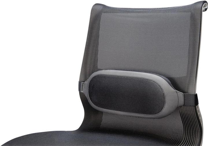 Immagine prodotto Fellowes Cuscino lombare, poliestere (35 x 6 x 16 cm)