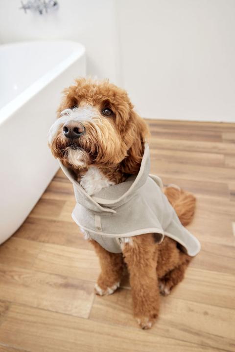 Immagine prodotto Palopa Accappatoio per cani (S, Accappatoio per cani)