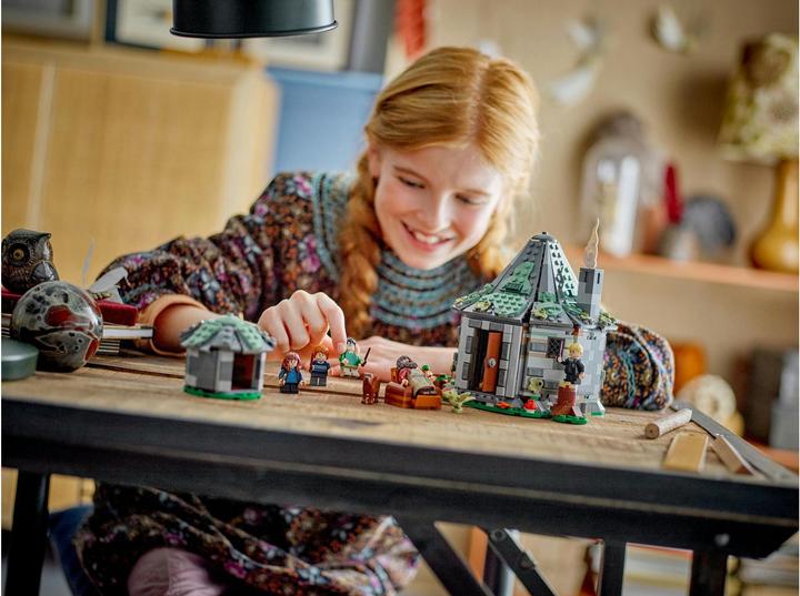 Produktbild LEGO Hagrids Hütte: Ein unerwarteter Besuch (76428, LEGO Harry Potter)
