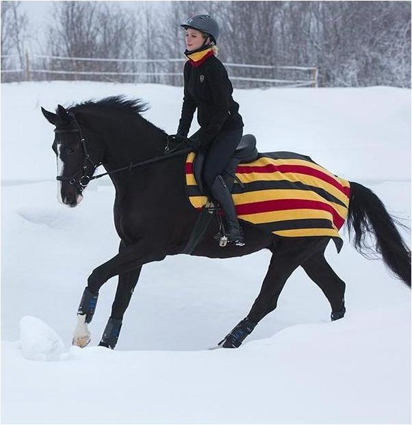 Produktbild Horseware Nierendecke Rambo Fleece Competition
