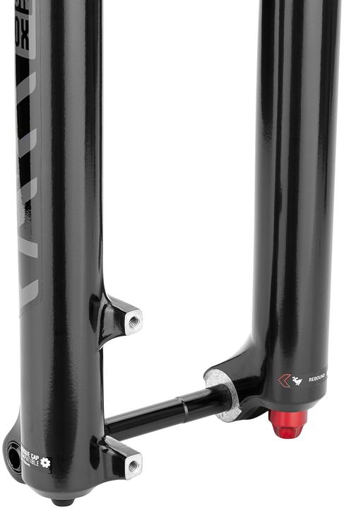 Immagine prodotto RockShox Yari RC (180 mm, Aria)