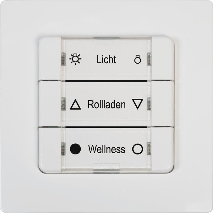 Image du produit Rademacher Bouton-poussoir mural multiple DuoFern 230V 9494-2