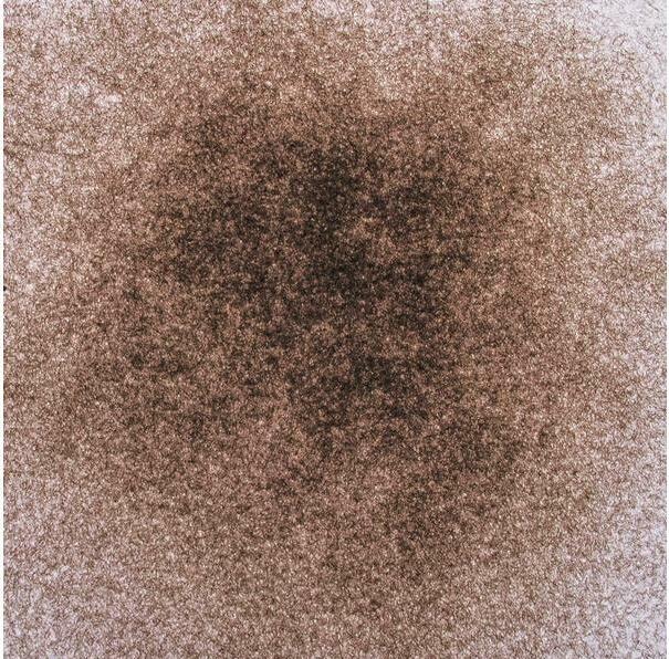 Image du produit Glorex Poudre de velours 11 g, brun