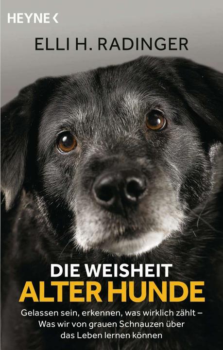 Actual product image Die Weisheit alter Hunde (German, Leïla Slimani, 2020)