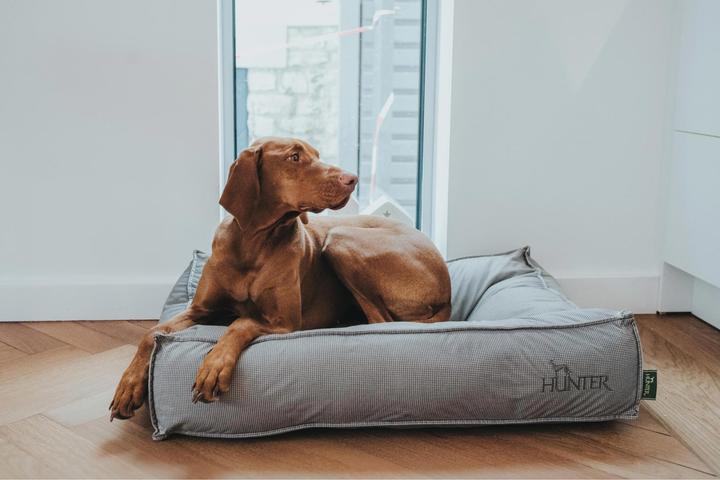 Produktbild Hunter Hundekissen Lancaster Baumwolle gesteppt (Hund)