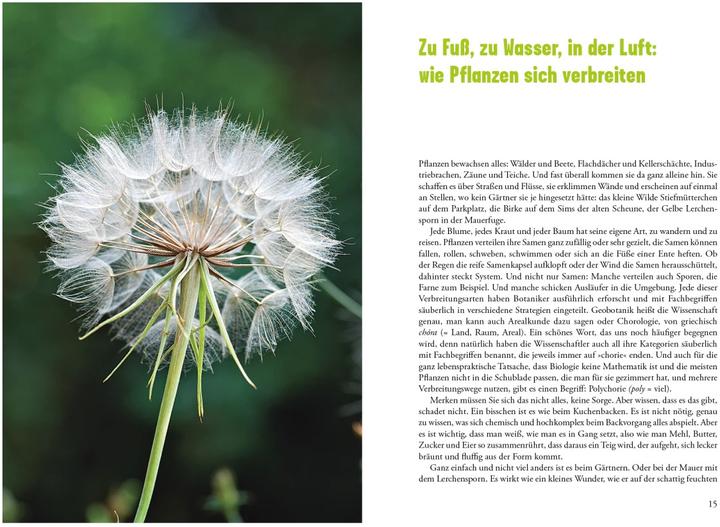 Actual product image Selbst ist die Pflanze (German, Sigrid Tinz, 2017)