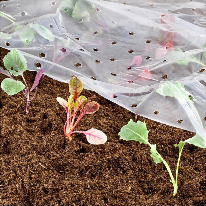 Actual product image Windhager Cold frame foil