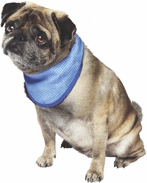 Immagine prodotto Nobby Sciarpa di raffreddamento (S, Cappotto per cani)