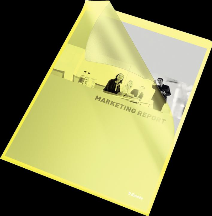 Actual product image Leitz Esselte (A4, 1 x)