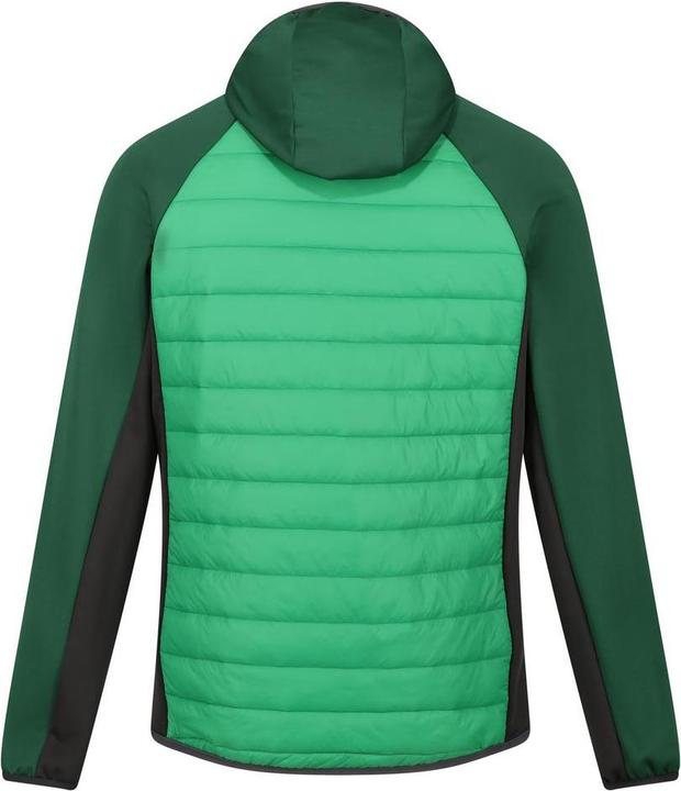 Produktbild Regatta Andreson VIII Hybrid (S)