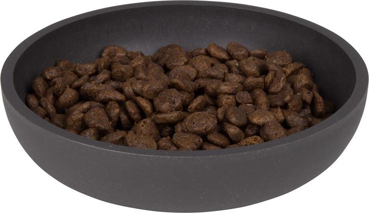 Immagine prodotto District 70 Bamboo Cat Bowl (0.18 l)