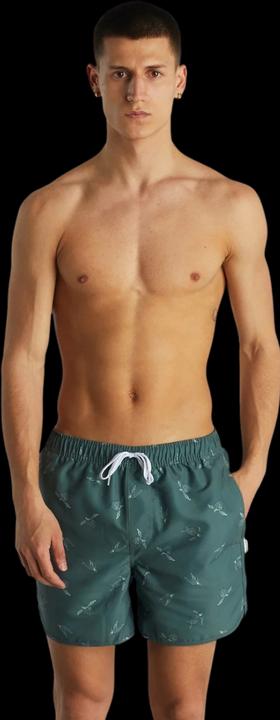 Produktbild Dedicated Swim Shorts Sandhamn Sea Turtles Forest Green XL (XL)