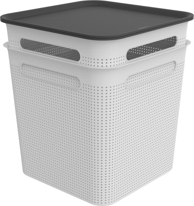 Produktbild Rotho Brisen (29.6 x 29.6 cm, 18 l)