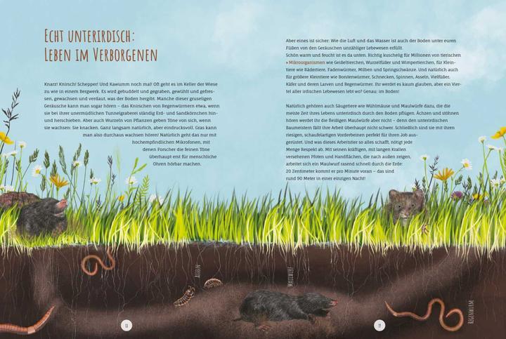 Immagine prodotto Die Wildwiese (Tedesco, Annette Zacharias, Angelika Huber-Janisch, 2022)