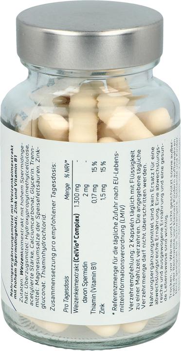 Produktbild SpermidineLife Original 365+ Kaps (60 Stück, Kapseln, 164 g)