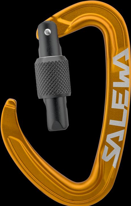 Actual product image Salewa Ortles Screw Carabiner