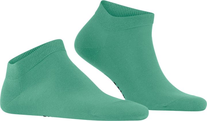 Image du produit Falke ClimaWool Hommes (41 - 42)