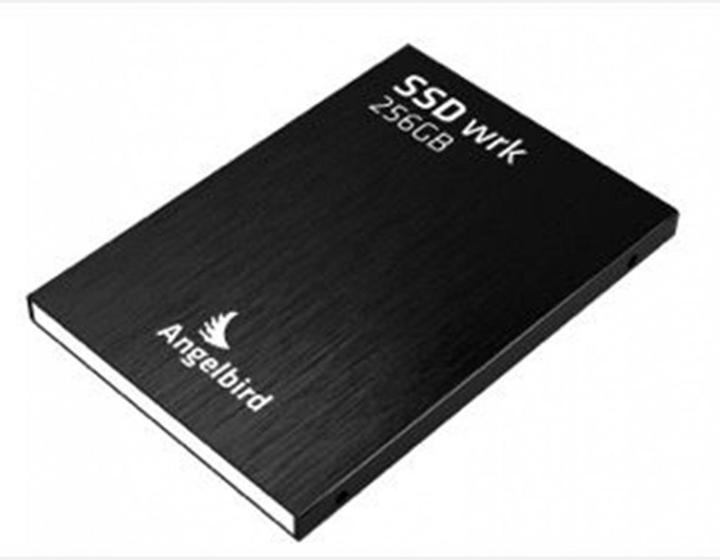 Image du produit Angelbird Wrk (256 Go, 2.5")