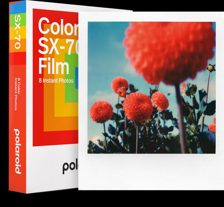 Actual product image Polaroid Color SX-70 Film (SX-70)