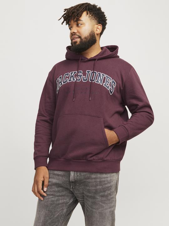 Produktbild Jack & Jones Jjecaleb Varsity Sweat Hood Noos Pls (3XL)