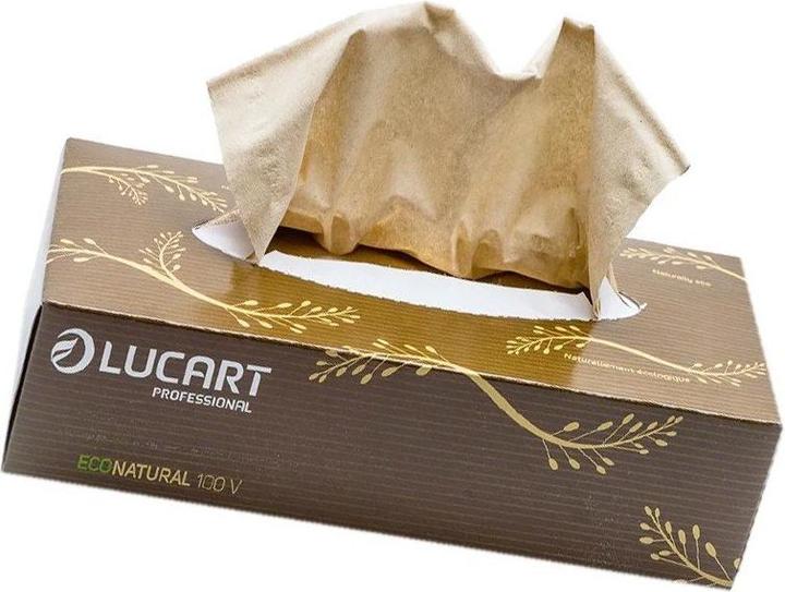 Actual product image Lucart Cosmetic tissues 2-ply Econatural