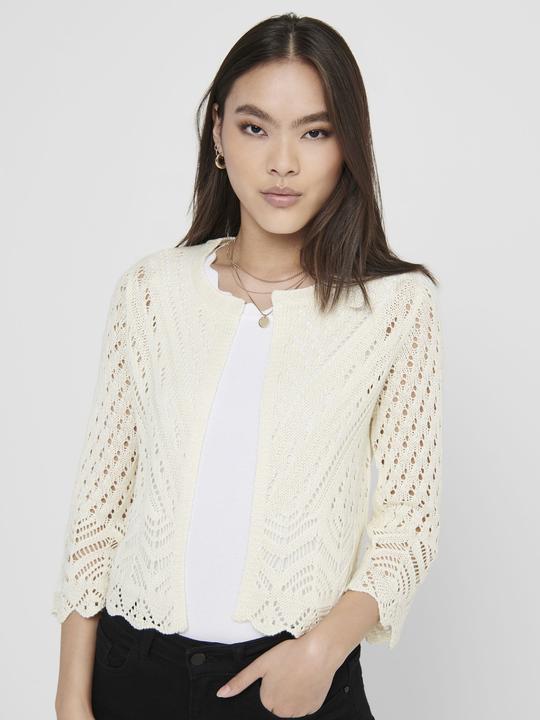 Image du produit JdY Cardigan cropped (M)