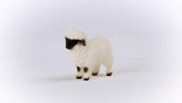 Immagine prodotto Schleich Pecora dal naso nero del Vallese