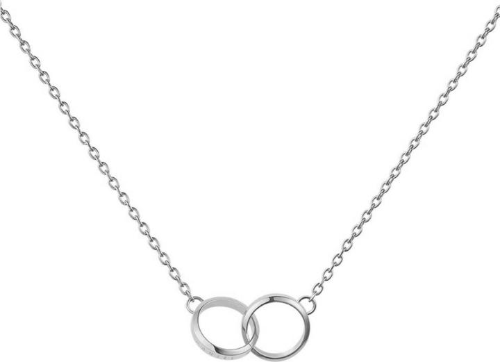 Image du produit Daniel Wellington Elan Unity Necklace Silver (Acier inoxydable, 45 cm)