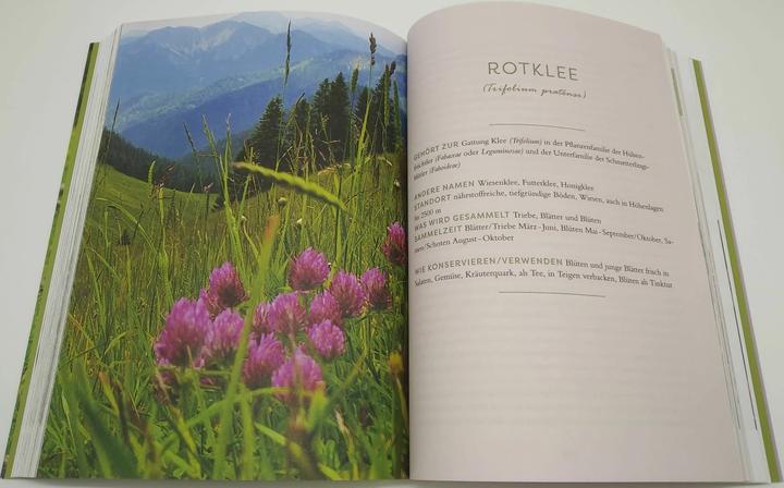Actual product image Meine Wildkräuter (German, Martina Fischer, Dorothea Steinbacher, 2023)