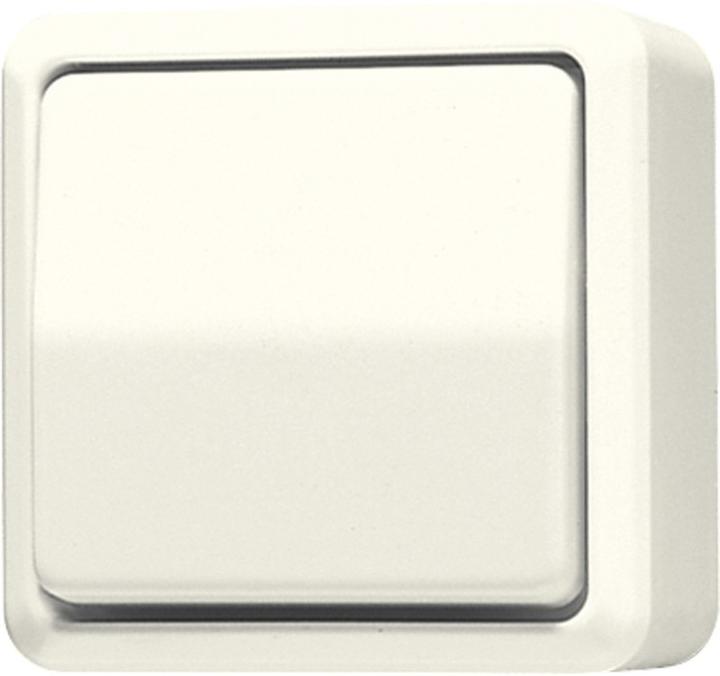 Actual product image JUNG rocker switch
