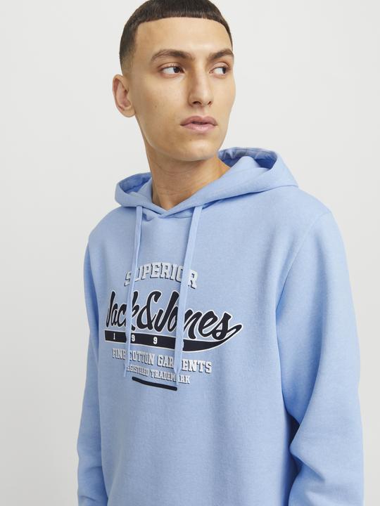Actual product image Jack & Jones JJELOGO SWEAT HOOD 2 COL 24/25 NOOS (XS)