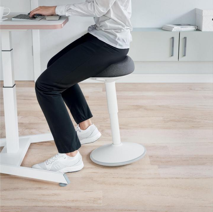 Produktbild Leitz Ergo Active