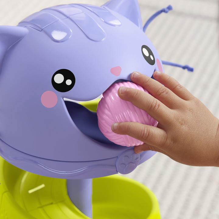 Actual product image Fisher-Price FP Pets Perrr-fect ball tower educational toy for babies and toddlers