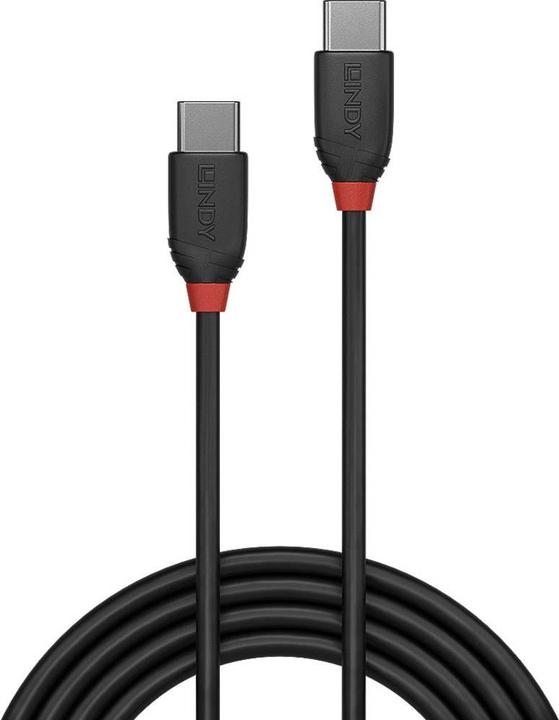 Actual product image Lindy black line (0.50 m, USB 3.1)