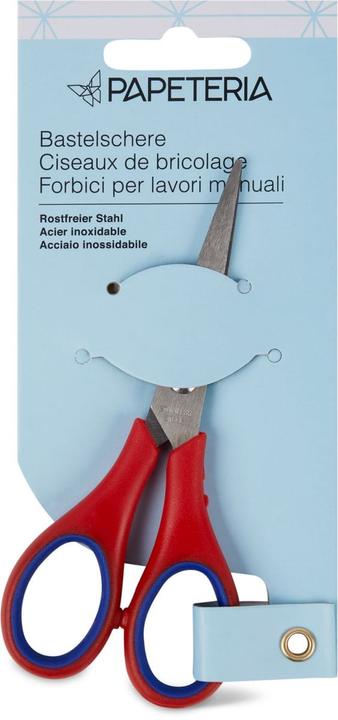 Papeteria ciseaux d'artisanat (12.50 cm)