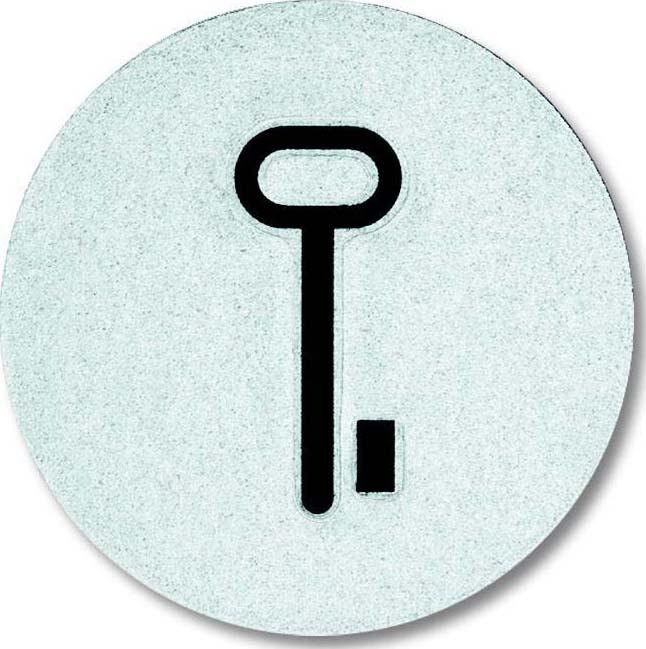 Immagine prodotto Busch-Jaeger Chiave simbolo scannerizzabile 2CKA001714A0297