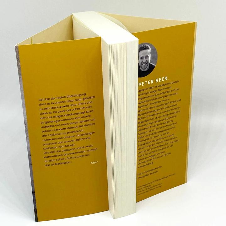 Actual product image Meditation (Peter Beer, German)
