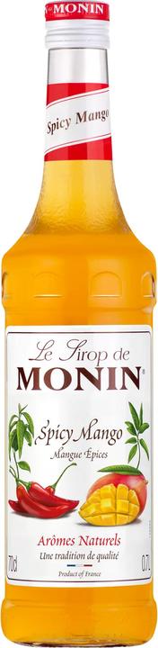 Image du produit Monin Sirop de mangue épicé (1 x 70 cl)