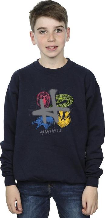Actual product image Boys Emblems H Spray Sweatshirt (128)