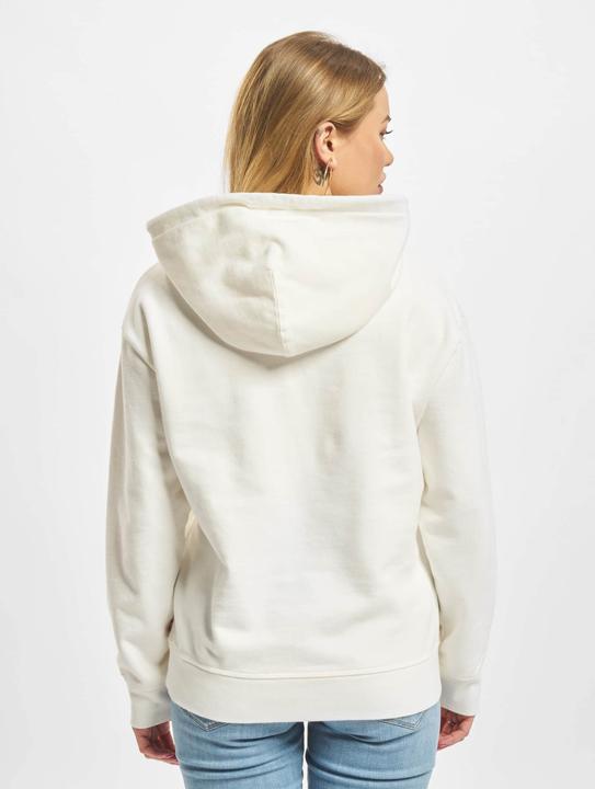 Actual product image Levis Graphic Standard Hoodie - 91027 (S)