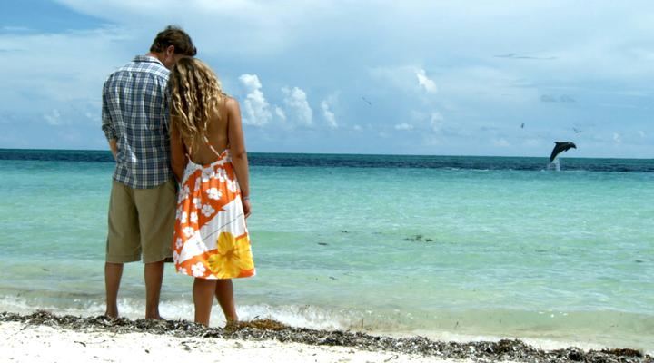 Immagine prodotto Alyssa e il suo delfino (DVD) (DVD, 2019, Tedesco, Inglese)