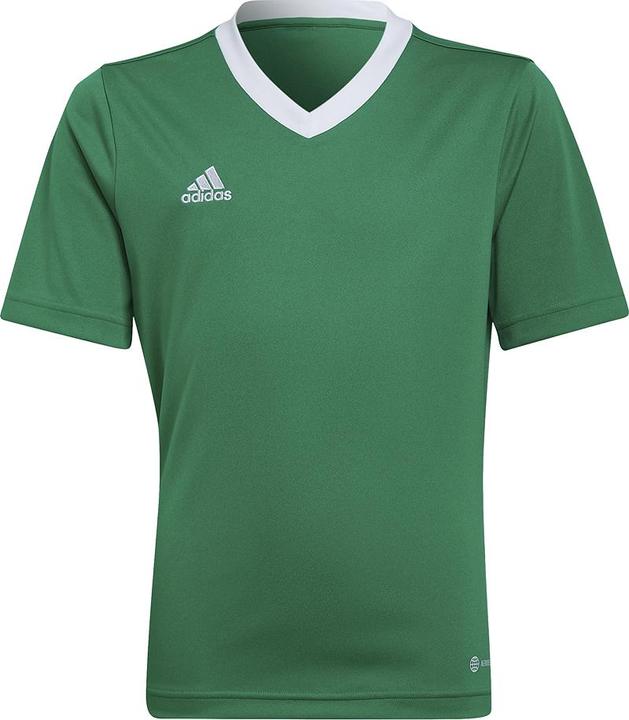 Immagine prodotto adidas Entrada 22 Maglia (164)