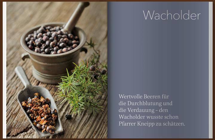 Produktbild Landlust Naturapotheke (Deutsch, Ellen Huber, Birgit Brokamp, 2024)