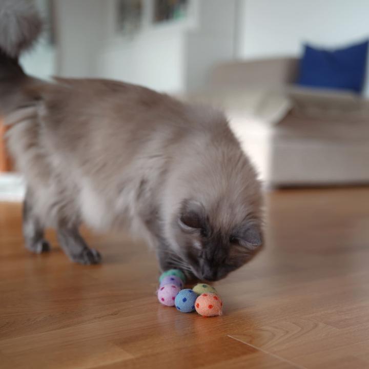 Produktbild LucyBalu RAINBOW EGGS Katzenbälle (Katzenminzespielzeug)
