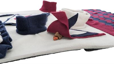Image du produit Trixie Dog Activity - Jeu de stratégie - Tapis à renifler (Jouet intelligent chien)