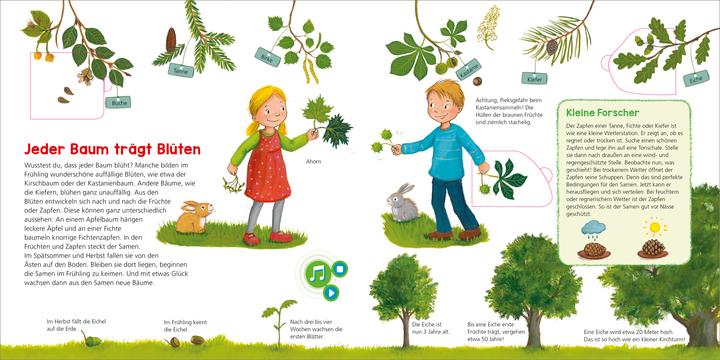 Immagine prodotto Bookii WAS IST WAS Kindergarten Entdecke den Wald (Tedesco, Johann Steinstraat, Andrea Weller-Essers, 2018)