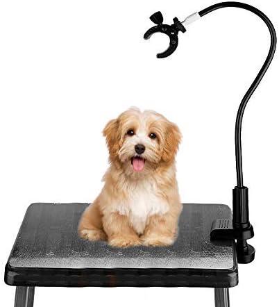 Immagine prodotto Smandy Supporto per asciugacapelli (Cane)