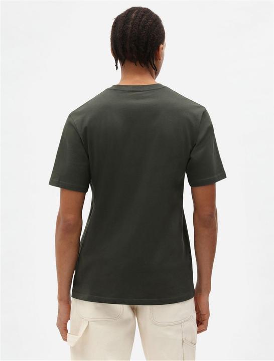 Actual product image Dickies Mapleton T-Shirt (XL)